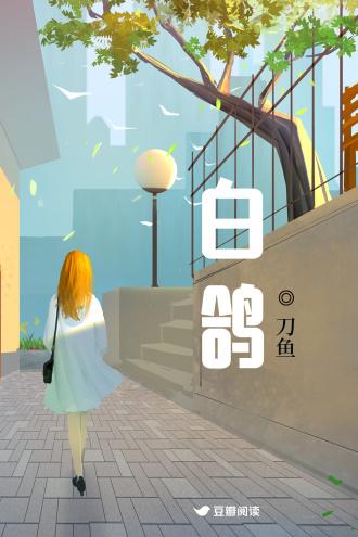 白鸽