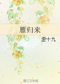 雁归来