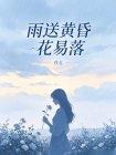 雨送黄昏花易落